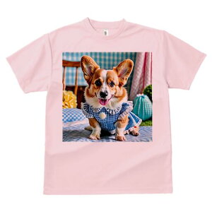 R[M[ TVc fB[X t@  t  vg JWA 킢 lԗp h ̃fUC ʔ MK`FbN R[M[ s[X xbh