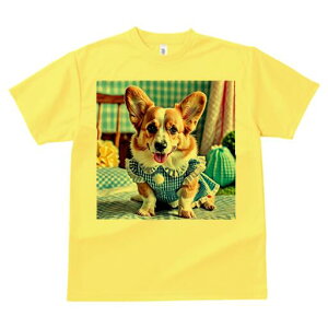 R[M[ TVc fB[X t@  t  vg JWA 킢 lԗp h ̃fUC ʔ MK`FbN R[M[ s[X xbh