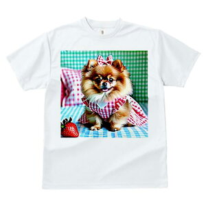 |jA TVc fB[X t@  t  vg JWA 킢 lԗp h ̃fUC ʔ  |jA MK`FbN {