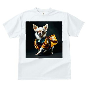 ` TVc fB[X t@  t  vg JWA 킢 lԗp h ̃fUC ʔ  ` a hbOEFA