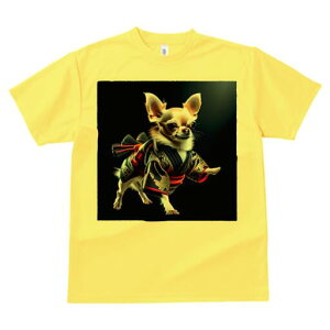 ` TVc fB[X t@  t  vg JWA 킢 lԗp h ̃fUC ʔ  ` a 