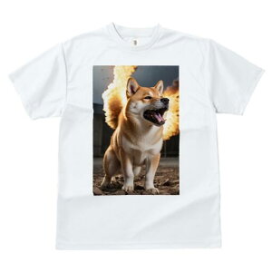 Č TVc fB[X t@  t  vg JWA 킢 lԗp h ̃fUC ʔ  Č