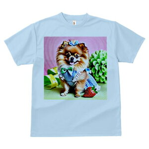 |jA TVc fB[X t@  t  vg JWA 킢 lԗp h ̃fUC ʔ { |jA  