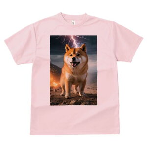 Č TVc fB[X t@  t  vg JWA 킢 lԗp h ̃fUC ʔ  Č   