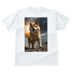 Č TVc fB[X t@  t  vg JWA 킢 lԗp h ̃fUC ʔ ԉ Č  _ n