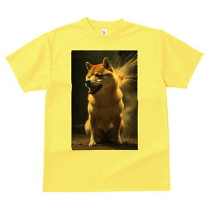 Č TVc fB[X t@  t  vg JWA 킢 lԗp h ̃fUC ʔ  Č Ή 