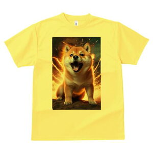 Č TVc fB[X t@  t  vg JWA 킢 lԗp h ̃fUC ʔ  Č 