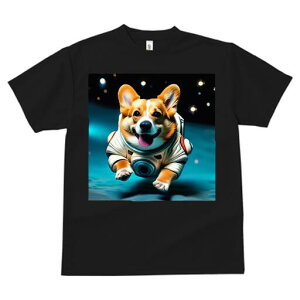 R[M[ TVc fB[X t@  t  vg JWA 킢 lԗp h ̃fUC ʔ F R[M[ F