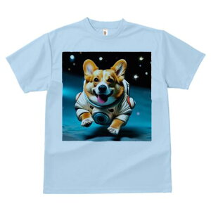 R[M[ TVc fB[X t@  t  vg JWA 킢 lԗp h ̃fUC ʔ F R[M[ F