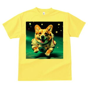 R[M[ TVc fB[X t@  t  vg JWA 킢 lԗp h ̃fUC ʔ F R[M[ F