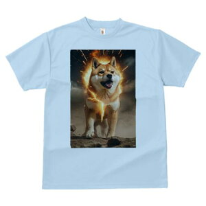 Č TVc fB[X t@  t  vg JWA 킢 lԗp h ̃fUC ʔ  Č  GlM[ p[