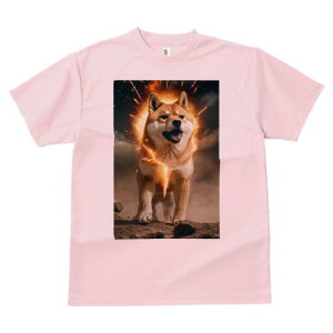 Č TVc fB[X t@  t  vg JWA 킢 lԗp h ̃fUC ʔ  Č  GlM[ p[