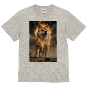 Č TVc fB[X t@  t  vg JWA 킢 lԗp h ̃fUC ʔ  Č  GlM[ p[