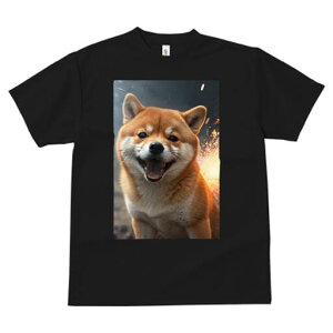 Č TVc fB[X t@  t  vg JWA 킢 lԗp h ̃fUC ʔ Ί Č Xp[N