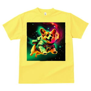 R[M[ TVc fB[X t@  t  vg JWA 킢 lԗp h ̃fUC ʔ F R[M[ Xy[X F _