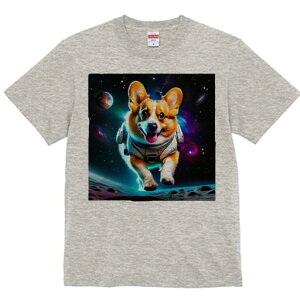 R[M[ TVc fB[X t@  t  vg JWA 킢 lԗp h ̃fUC ʔ F R[M[ F f 