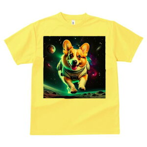 R[M[ TVc fB[X t@  t  vg JWA 킢 lԗp h ̃fUC ʔ F R[M[ F f 