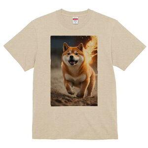 Č TVc fB[X t@  t  vg JWA 킢 lԗp h ̃fUC ʔ  Č 