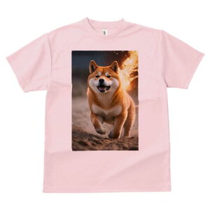 Č TVc fB[X t@  t  vg JWA 킢 lԗp h ̃fUC ʔ  Č 