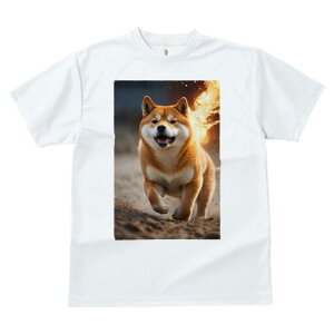 Č TVc fB[X t@  t  vg JWA 킢 lԗp h ̃fUC ʔ  Č 