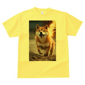 Č TVc fB[X t@  t  vg JWA 킢 lԗp h ̃fUC ʔ  Č 