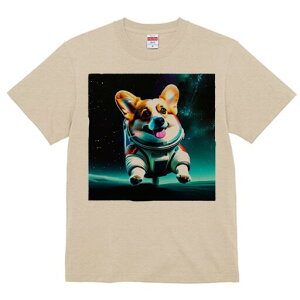 R[M[ TVc fB[X t@  t  vg JWA 킢 lԗp h ̃fUC ʔ F R[M[ F