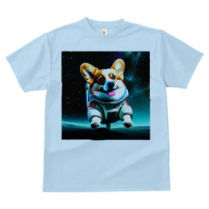 R[M[ TVc fB[X t@  t  vg JWA 킢 lԗp h ̃fUC ʔ F R[M[ F