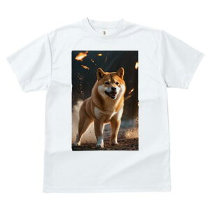 Č TVc fB[X t@  t  vg JWA 킢 lԗp h ̃fUC ʔ  Č Ή