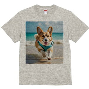 R[M[ TVc fB[X t@  t  vg JWA 킢 lԗp h ̃fUC ʔ r[` R[M[ C  oP[V