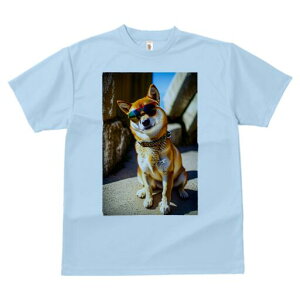 Č TVc fB[X t@  t  vg JWA 킢 lԗp h ̃fUC ʔ TOX Č 