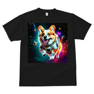 R[M[ TVc fB[X t@  t  vg JWA 킢 lԗp h ̃fUC ʔ F R[M[ F 