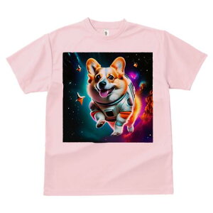 R[M[ TVc fB[X t@  t  vg JWA 킢 lԗp h ̃fUC ʔ F R[M[ F 