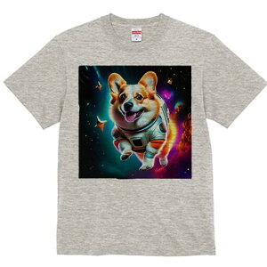 R[M[ TVc fB[X t@  t  vg JWA 킢 lԗp h ̃fUC ʔ F R[M[ F 