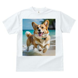 R[M[ TVc fB[X t@  t  vg JWA 킢 lԗp h ̃fUC ʔ r[` R[M[ C g