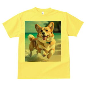 R[M[ TVc fB[X t@  t  vg JWA 킢 lԗp h ̃fUC ʔ r[` R[M[ C g