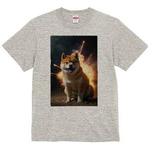 Č TVc fB[X t@  t  vg JWA 킢 lԗp h ̃fUC ʔ ԉ Č  Xp[N