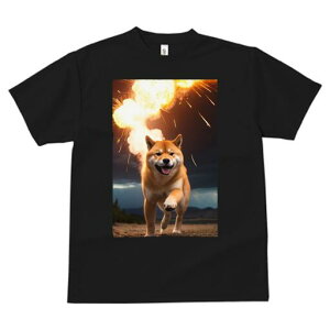 Č TVc fB[X t@  t  vg JWA 킢 lԗp h ̃fUC ʔ  Č 