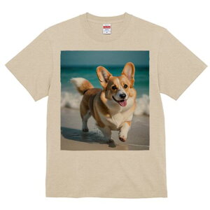 R[M[ TVc fB[X t@  t  vg JWA 킢 lԗp h ̃fUC ʔ C R[M[ l g