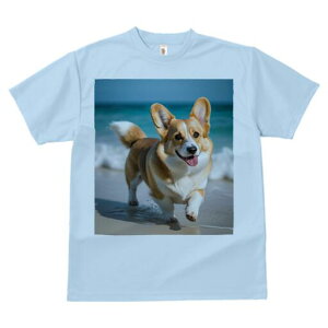 R[M[ TVc fB[X t@  t  vg JWA 킢 lԗp h ̃fUC ʔ C R[M[ l g