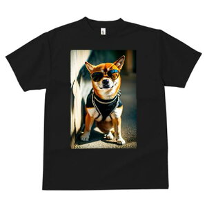 Č TVc fB[X t@  t  vg JWA 킢 lԗp h ̃fUC ʔ TOX Č N[  pn[lX