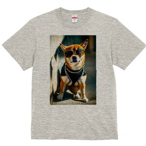 Č TVc fB[X t@  t  vg JWA 킢 lԗp h ̃fUC ʔ TOX Č N[  pn[lX