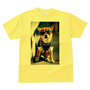 Č TVc fB[X t@  t  vg JWA 킢 lԗp h ̃fUC ʔ TOX Č N[  pn[lX