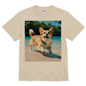 R[M[ TVc fB[X t@  t  vg JWA 킢 lԗp h ̃fUC ʔ r[` R[M[ C l 