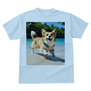 R[M[ TVc fB[X t@  t  vg JWA 킢 lԗp h ̃fUC ʔ r[` R[M[ C l 