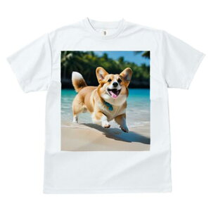 R[M[ TVc fB[X t@  t  vg JWA 킢 lԗp h ̃fUC ʔ r[` R[M[ C l 