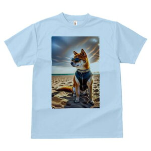 Č TVc fB[X t@  t  vg JWA 킢 lԗp h ̃fUC ʔ TOX Č r[` WPbg