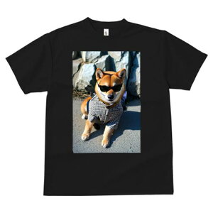 Č TVc fB[X t@  t  vg JWA 킢 lԗp h ̃fUC ʔ TOX Č 