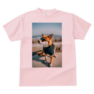 Č TVc fB[X t@  t  vg JWA 킢 lԗp h ̃fUC ʔ TOX Č 