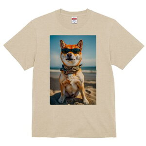 Č TVc fB[X t@  t  vg JWA 킢 lԗp h ̃fUC ʔ TOX Č r[` C