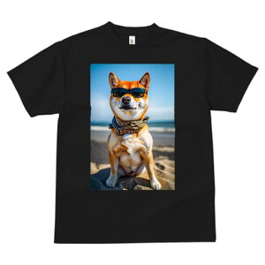 Č TVc fB[X t@  t  vg JWA 킢 lԗp h ̃fUC ʔ TOX Č r[` C